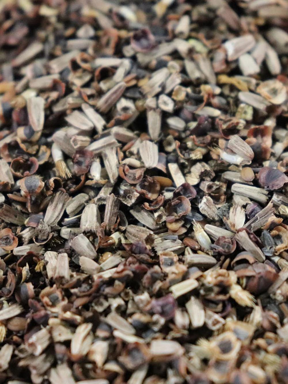 Native Wildflower & Forbs Mix